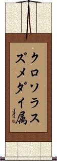 Scroll