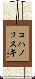 Scroll