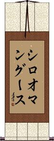 Scroll