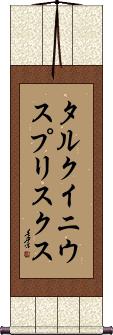 Scroll