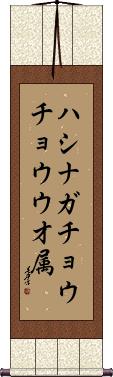 Scroll