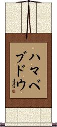 Scroll
