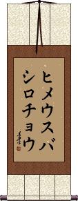 Scroll