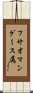 Scroll