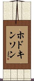 Scroll