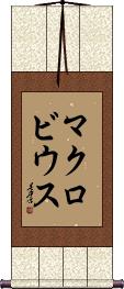 Scroll