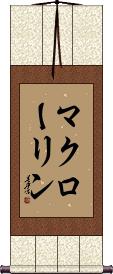 Scroll