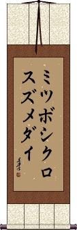 Scroll