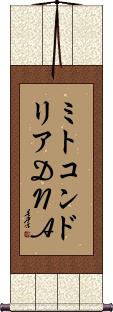 Scroll