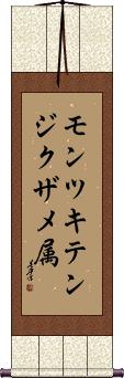 Scroll