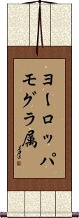 Scroll