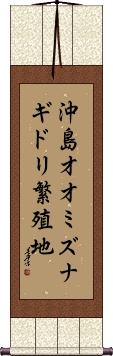 Scroll