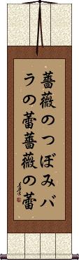 Scroll